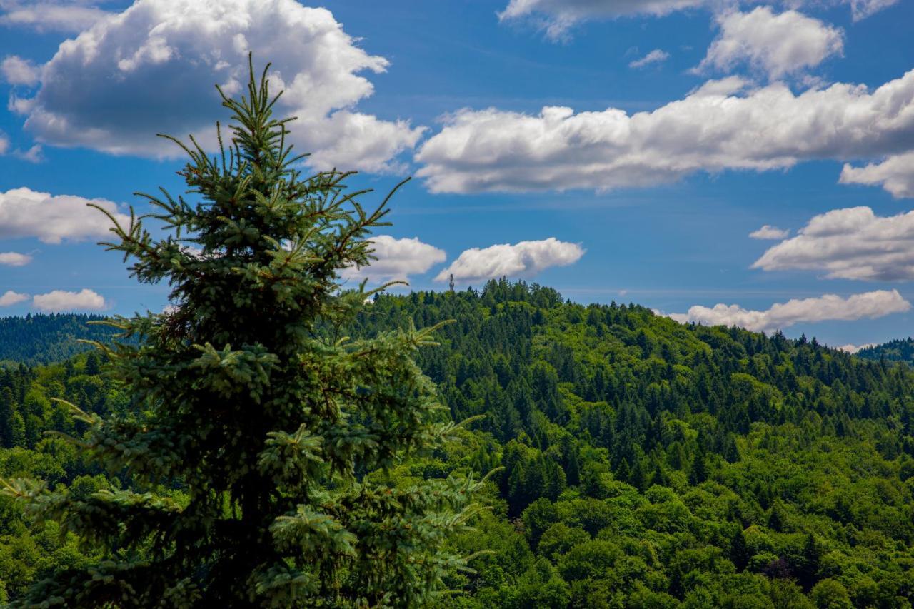 Sun & Sport Apartamenty Krynica-Zdroj Buitenkant foto